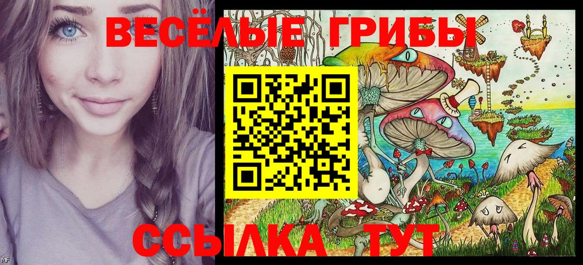 Псилоцибиновые грибы Psilocybe Салехард
