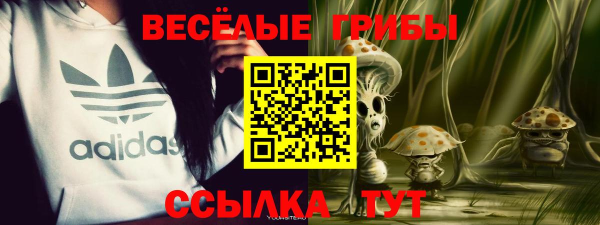 Салехард  Псилоцибиновые грибы MAGIC MUSHROOMS  Вход с VPN 